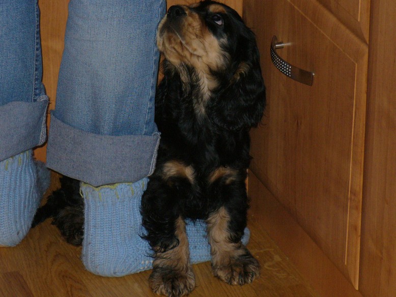 Argo-Karel  VANOCE 2009 (1).JPG